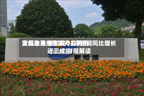 蛋氨酸及维生素产品费用大幅上涨 新和成Q2净利润同比增长近三成|财报解读-第2张图片