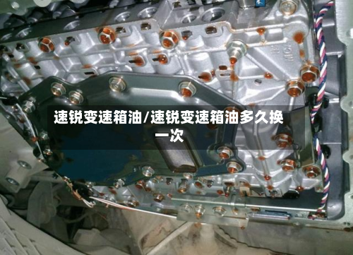 速锐变速箱油/速锐变速箱油多久换一次