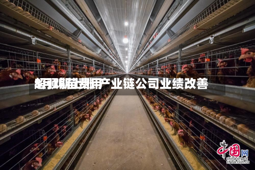 8月鸡苗费用超预期上涨 产业链公司业绩改善-第2张图片