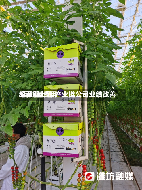 8月鸡苗费用超预期上涨 产业链公司业绩改善-第3张图片