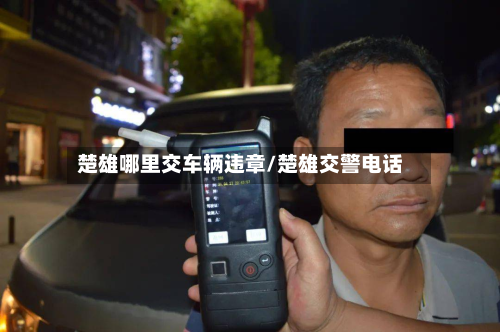 楚雄哪里交车辆违章/楚雄交警电话