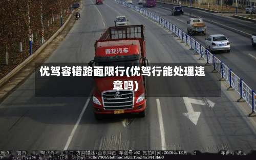 优驾容错路面限行(优驾行能处理违章吗)-第2张图片