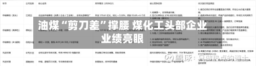 油煤“剪刀差”撑腰 煤化工头部企业业绩亮眼-第2张图片