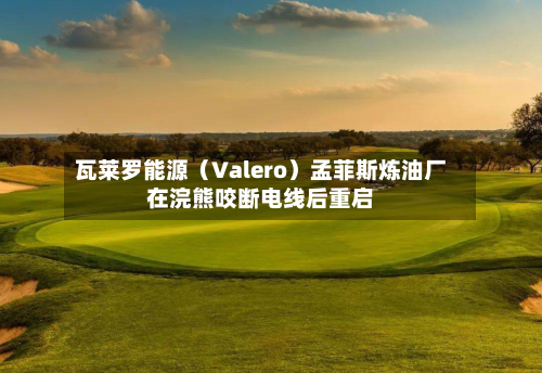 瓦莱罗能源（Valero）孟菲斯炼油厂在浣熊咬断电线后重启-第2张图片