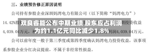 双良睿能公布中期业绩 股东应占利润为约1.1亿元同比减少1.8%-第2张图片