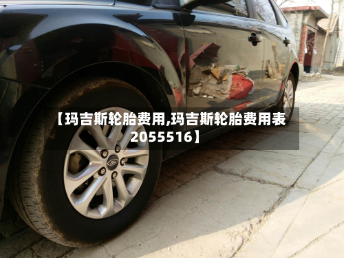 【玛吉斯轮胎费用,玛吉斯轮胎费用表2055516】