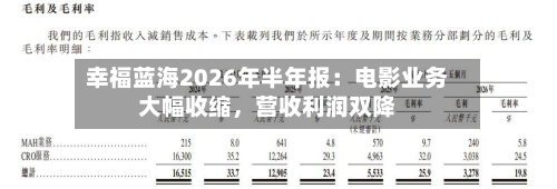 幸福蓝海2026年半年报：电影业务大幅收缩，营收利润双降-第3张图片