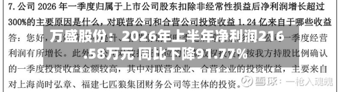 万盛股份：2026年上半年净利润216.58万元 同比下降91.77%