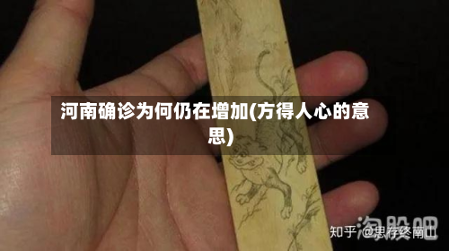 河南确诊为何仍在增加(方得人心的意思)-第3张图片