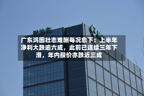 广东鸿图壮志难酬每况愈下：上半年净利大跌逾六成	，此前已连续三年下滑，年内股价亦跌近三成-第1张图片