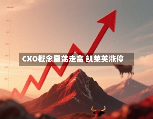 CXO概念震荡走高 凯莱英涨停