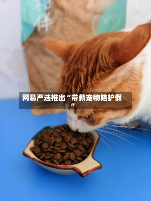 网易严选推出“带薪宠物陪护假	”-第2张图片