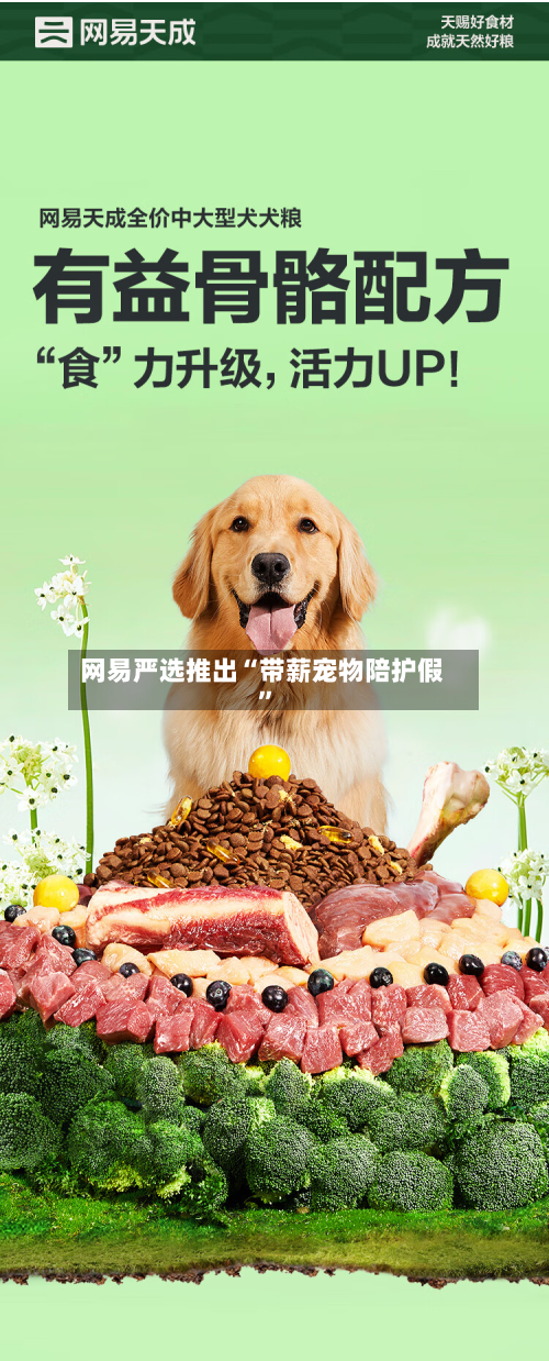 网易严选推出“带薪宠物陪护假”-第3张图片