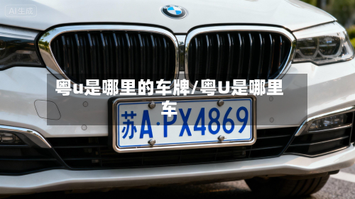 粤u是哪里的车牌/粤U是哪里车