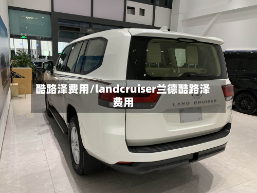 酷路泽费用/landcruiser兰德酷路泽费用-第2张图片