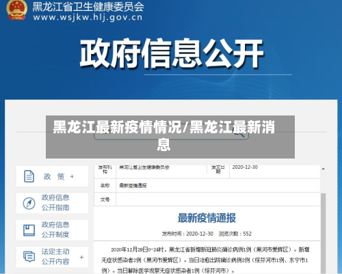黑龙江最新疫情情况/黑龙江最新消息-第3张图片