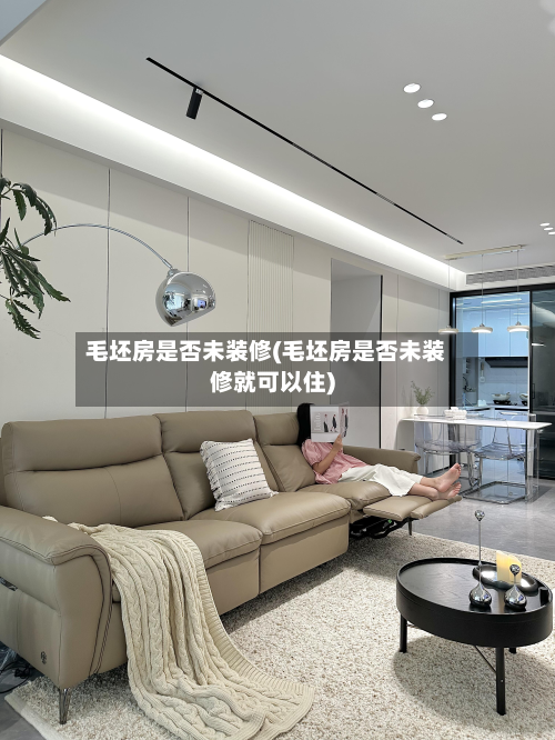 毛坯房是否未装修(毛坯房是否未装修就可以住)-第2张图片