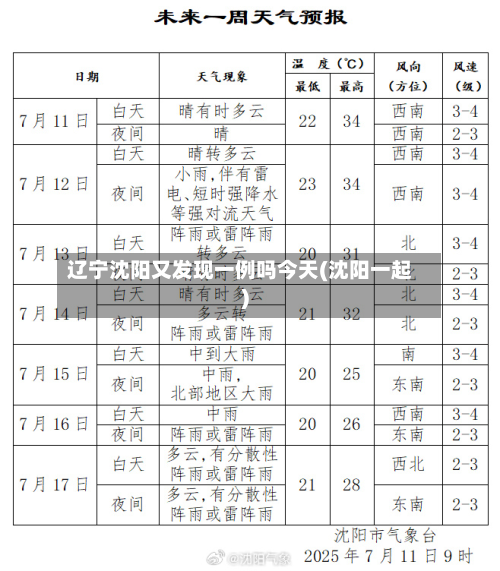 辽宁沈阳又发现一例吗今天(沈阳一起)-第2张图片