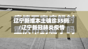 辽宁新增本土确诊35例/辽宁新冠肺炎疫情