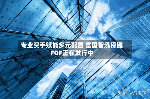 专业买手赋能多元配置 富国智泓稳健FOF正在发行中-第3张图片