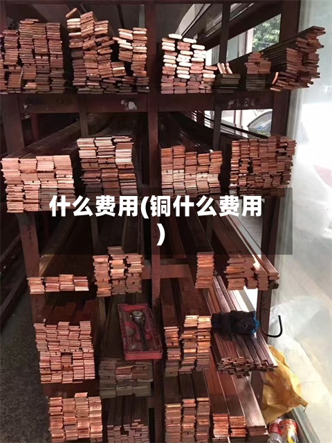 什么费用(铜什么费用)-第2张图片