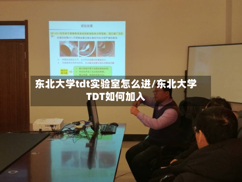 东北大学tdt实验室怎么进/东北大学TDT如何加入-第2张图片