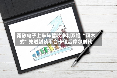 甬矽电子上半年营收净利双增 “积木式”先进封装平台卡位后摩尔时代-第2张图片