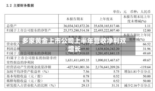 多家黄金上市公司上半年营收净利双增长