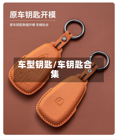 车型钥匙/车钥匙合集-第3张图片