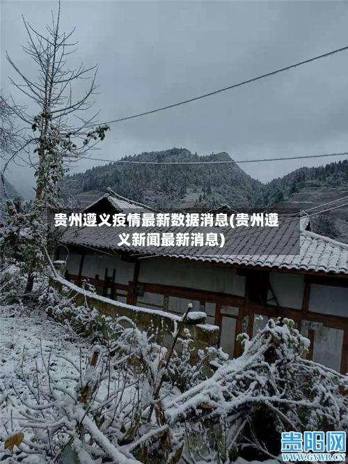 贵州遵义疫情最新数据消息(贵州遵义新闻最新消息)