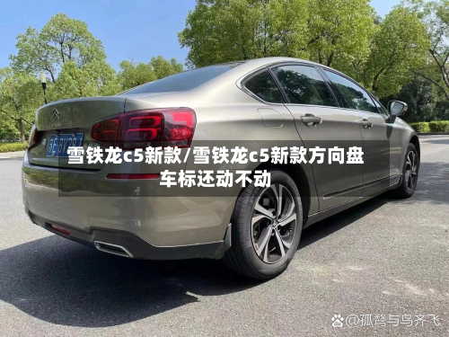 雪铁龙c5新款/雪铁龙c5新款方向盘车标还动不动