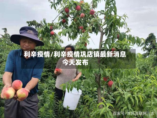 利辛疫情/利辛疫情巩店镇最新消息今天发布-第2张图片