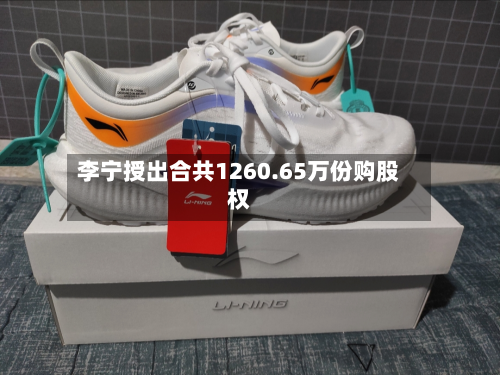 李宁授出合共1260.65万份购股权-第1张图片