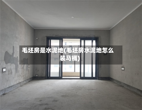 毛坯房是水泥地(毛坯房水泥地怎么装马桶)