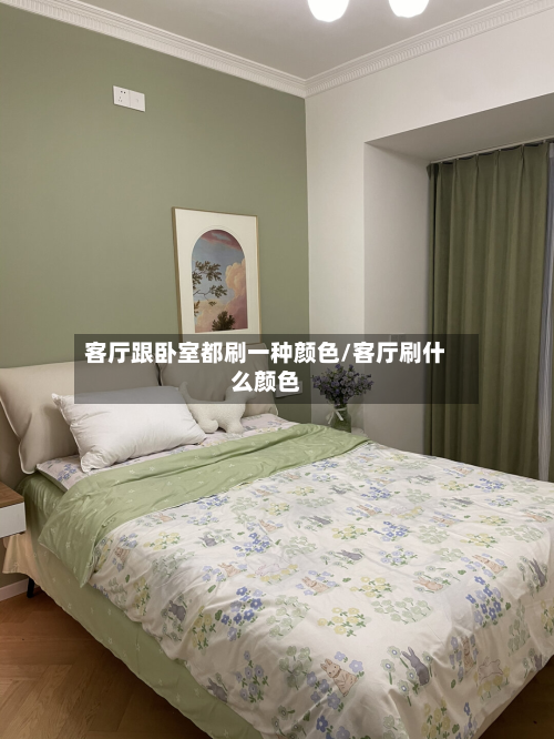 客厅跟卧室都刷一种颜色/客厅刷什么颜色