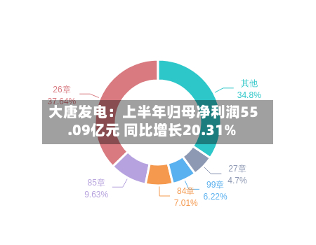 大唐发电:上半年归母净利润55.09亿元 同比增长20.31%-第2张图片