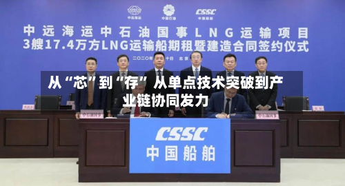 从“芯”到“存	” 从单点技术突破到产业链协同发力-第2张图片