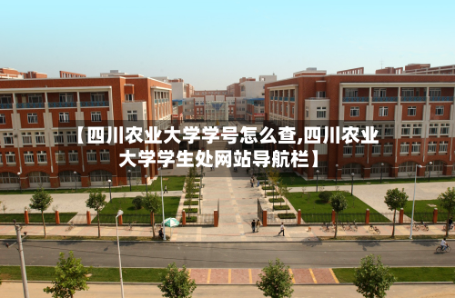 【四川农业大学学号怎么查,四川农业大学学生处网站导航栏】-第3张图片