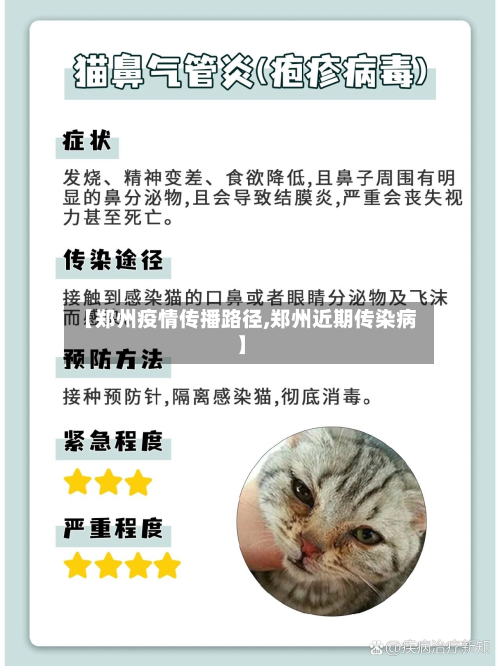 【郑州疫情传播路径,郑州近期传染病】-第3张图片