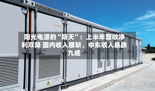 阳光电源的“阴天”：上半年营收净利双降 国内收入腰斩	、中东收入暴跌九成-第3张图片