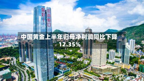 中国黄金上半年归母净利润同比下降12.35%-第2张图片