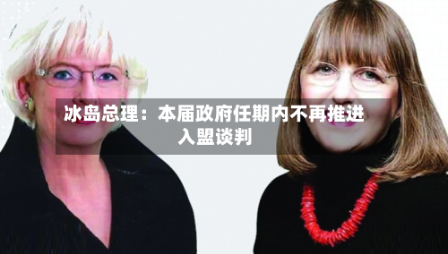 冰岛总理:本届政府任期内不再推进入盟谈判-第2张图片