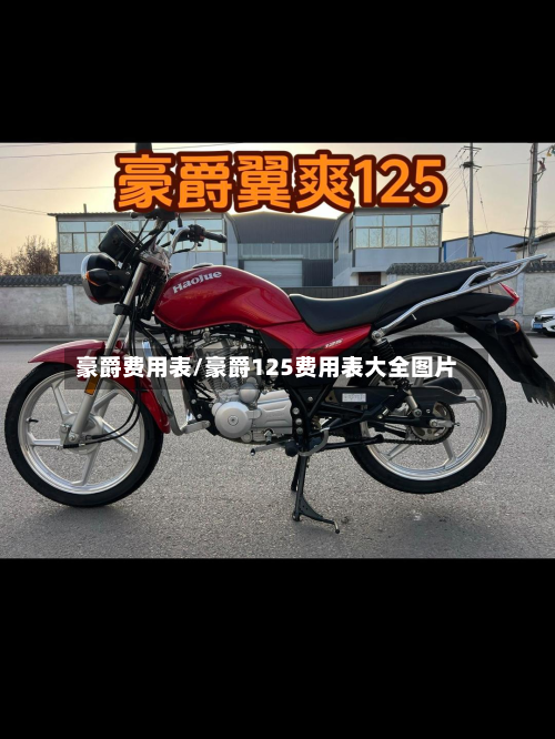 豪爵费用表/豪爵125费用表大全图片-第2张图片