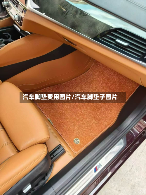 汽车脚垫费用图片/汽车脚垫子图片-第3张图片