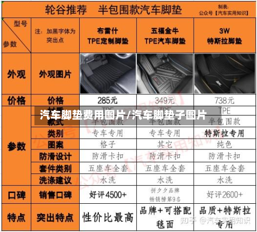 汽车脚垫费用图片/汽车脚垫子图片