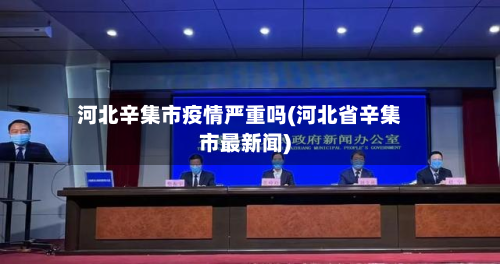 河北辛集市疫情严重吗(河北省辛集市最新闻)-第3张图片