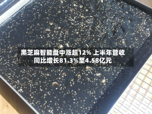 黑芝麻智能盘中涨超12% 上半年营收同比增长81.3%至4.58亿元-第2张图片
