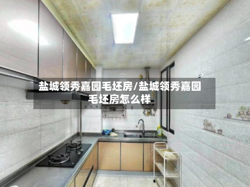 盐城领秀嘉园毛坯房/盐城领秀嘉园毛坯房怎么样-第2张图片
