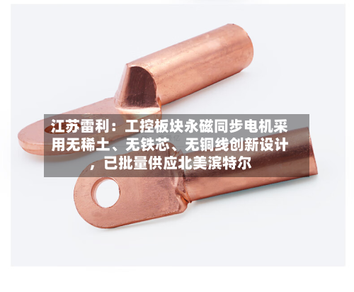 江苏雷利：工控板块永磁同步电机采用无稀土、无铁芯、无铜线创新设计	，已批量供应北美滨特尔-第2张图片