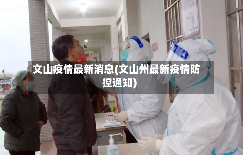 文山疫情最新消息(文山州最新疫情防控通知)-第2张图片